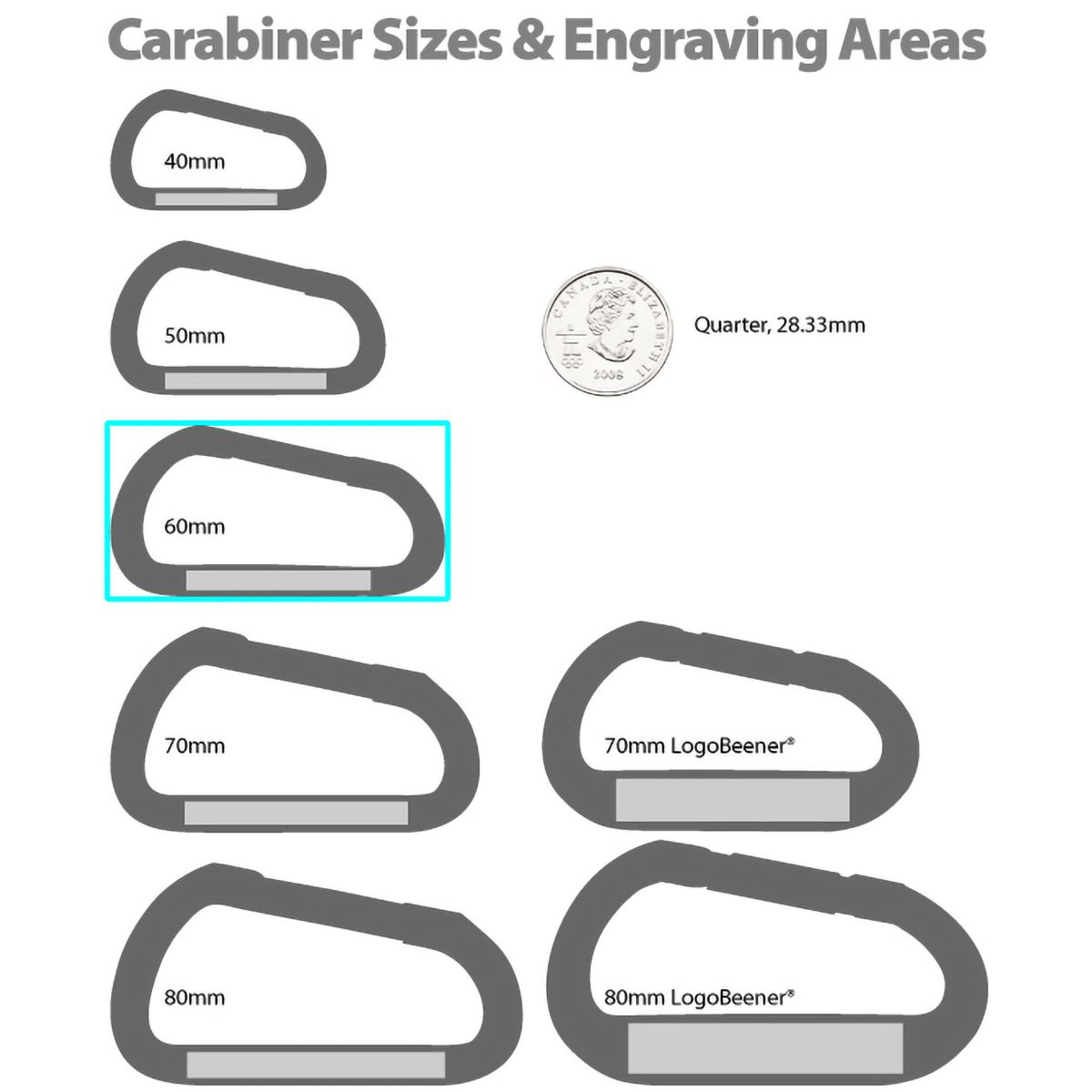 Carabiner size comparison chart
